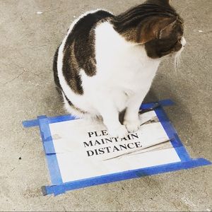 Meet your Posher, Sandy